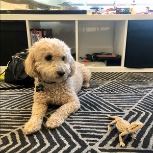 Meet your Posher, Sandra